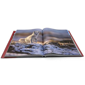 Libro fantasia con copertina rigida di alta qualità a buon mercato, stampato in Cina